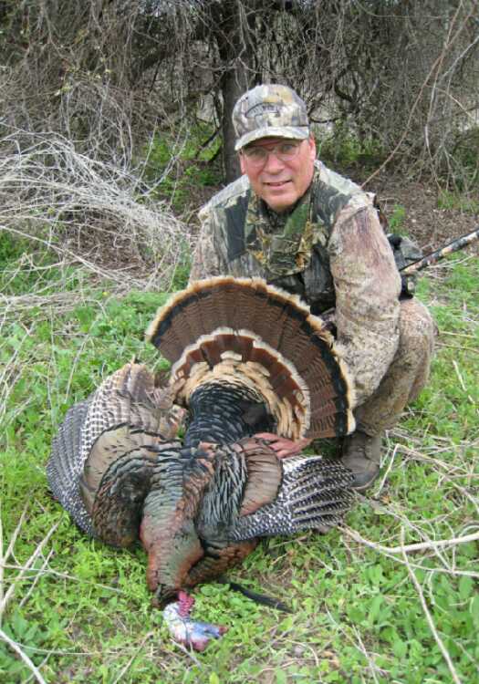 spring turkey from Texas - Guy Lockhart