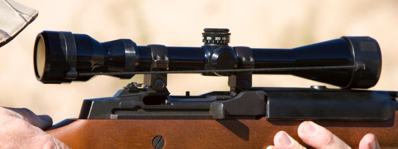10 Best Scopes for 17 HMR